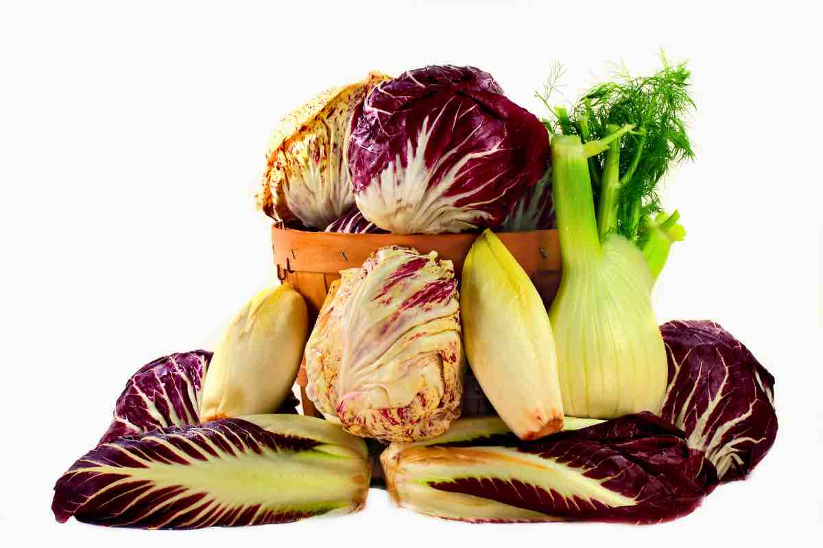 Radicchio e finocchi