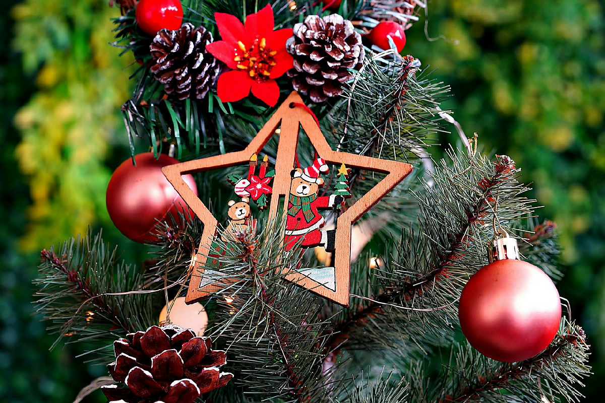 Non sai quale albero scegliere per Natale 2025? Ecco colori e decorazioni imperdibili per la casa