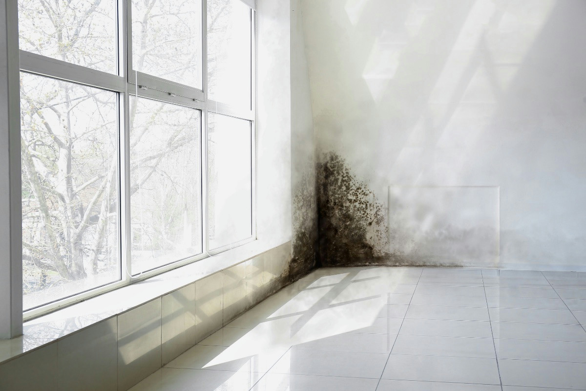 Perché tutti sbagliano a stendere il bucato in casa: cosa rischi davvero e cosa puoi fare invece