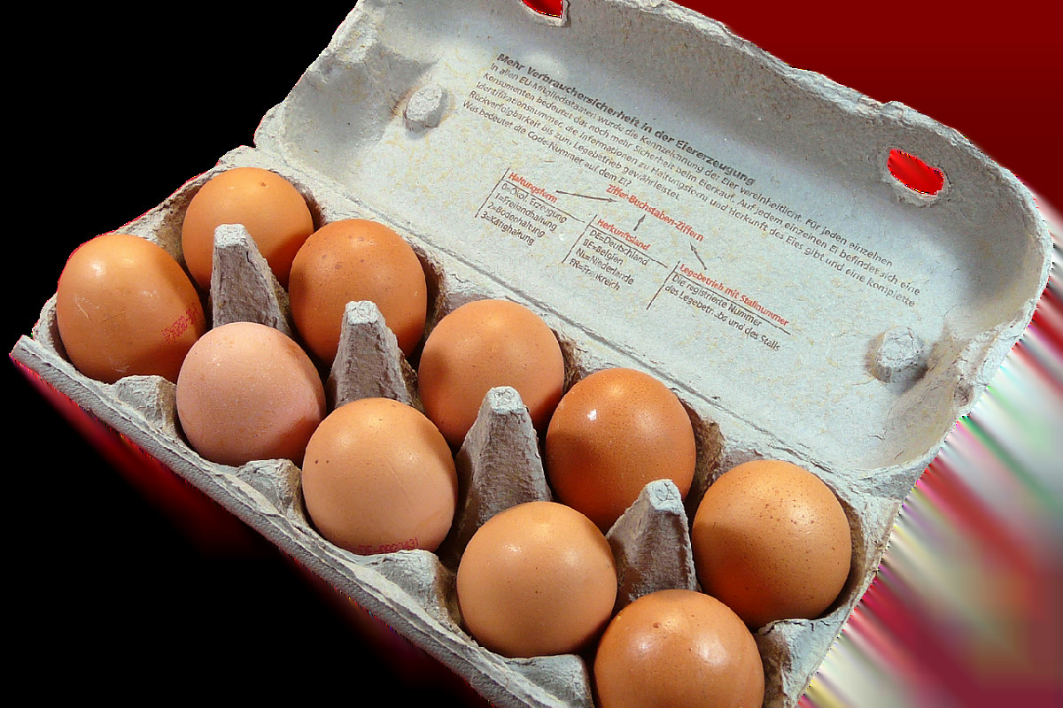 Uova fresche: frigorifero o dispensa? L’errore più comune in cucina e i rischi da evitare