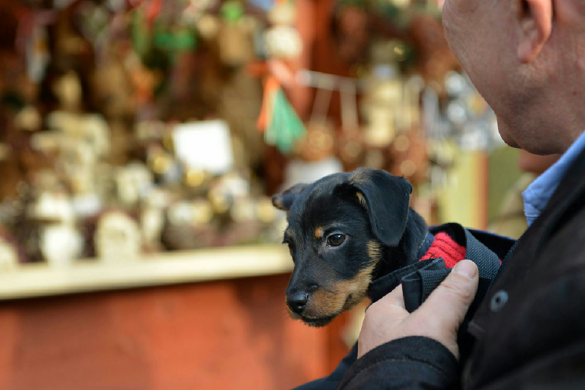 I 10 mercatini di Natale più belli in Italia: tradizione, luci e atmosfere da scoprire con calma