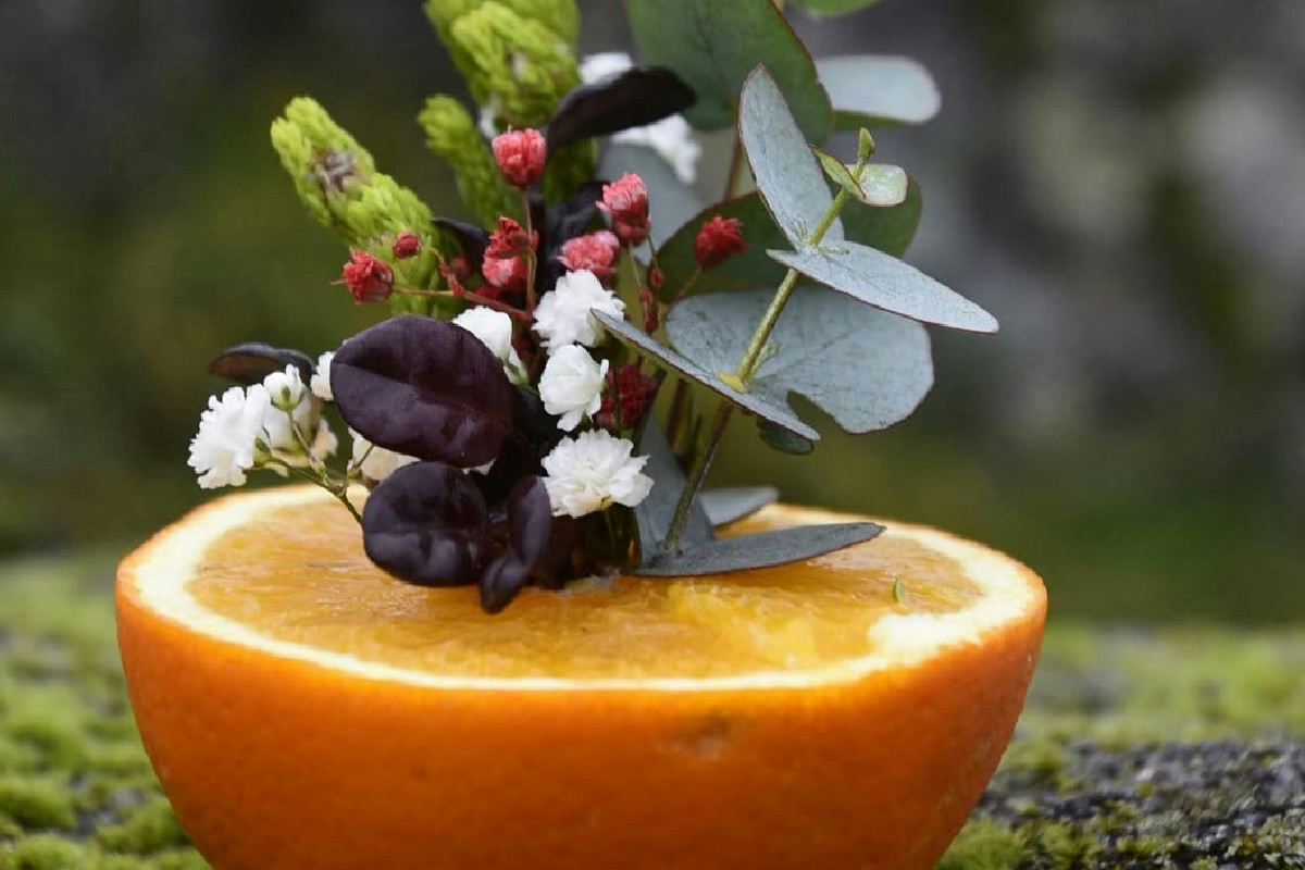 Decorazioni natalizie originali per la tavola che rendono ogni festa magica e indimenticabile