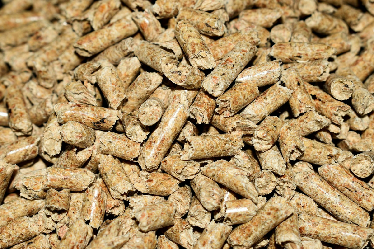 Accendere la stufa a pellet in questo modo spreca pellet e lascia la casa fredda e umida