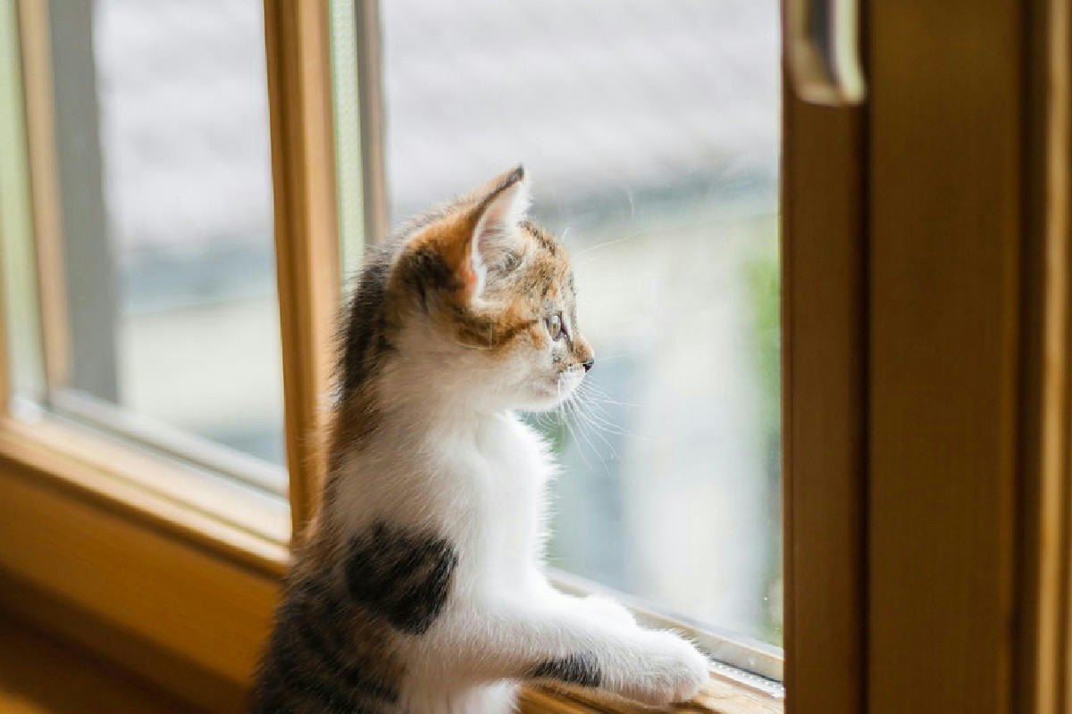 Arieggiare casa in inverno senza perdere il calore: mantenere aria fresca e comfort termico