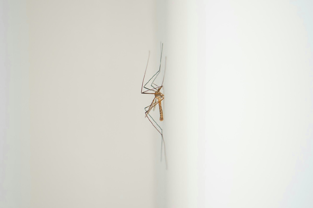 I pericoli nascosti negli scarichi: le precauzioni essenziali da adottare in tutta Italia subito