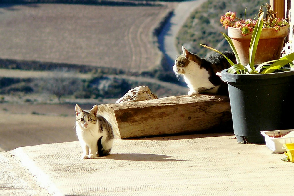 Quattro borghi spagnoli da scoprire nel 2026 per un viaggio unico e fuori dal comune